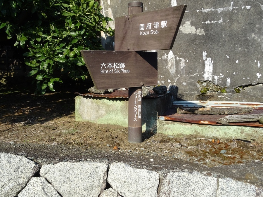 DSC00869.JPG