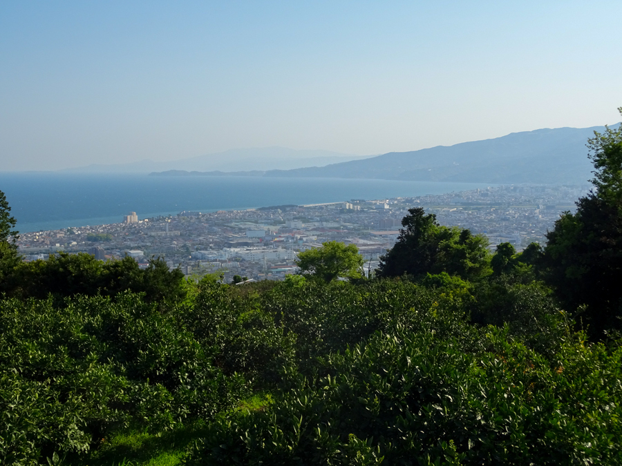 DSC00870.jpg