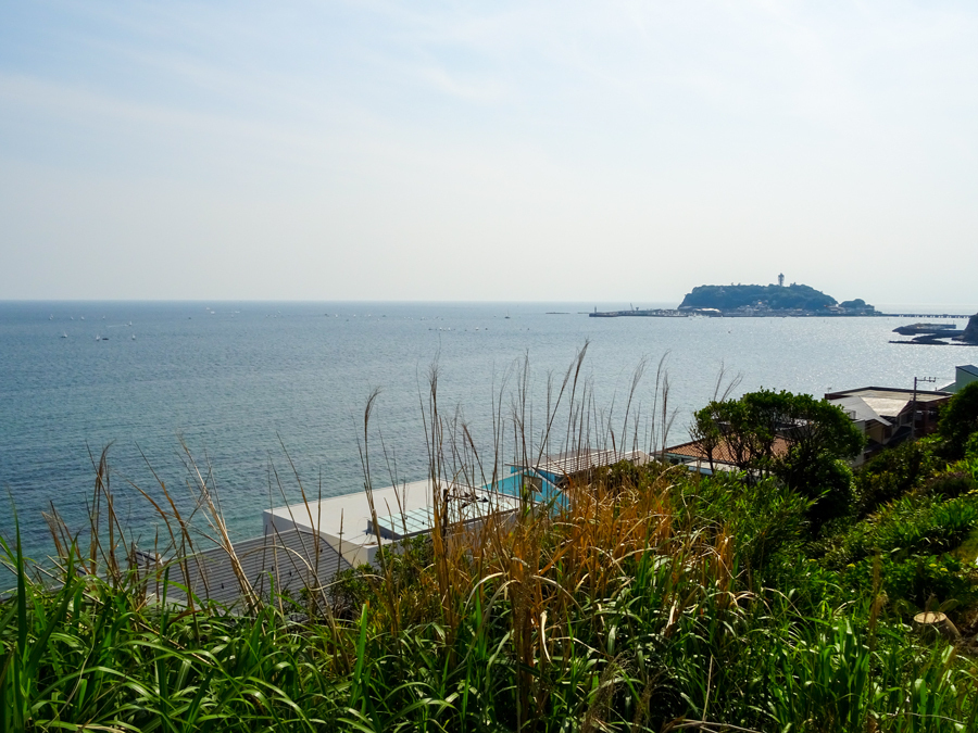 DSC01142.jpg