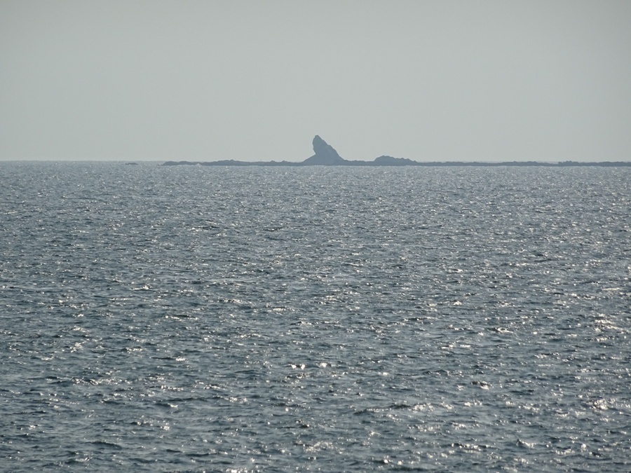DSC01164.JPG