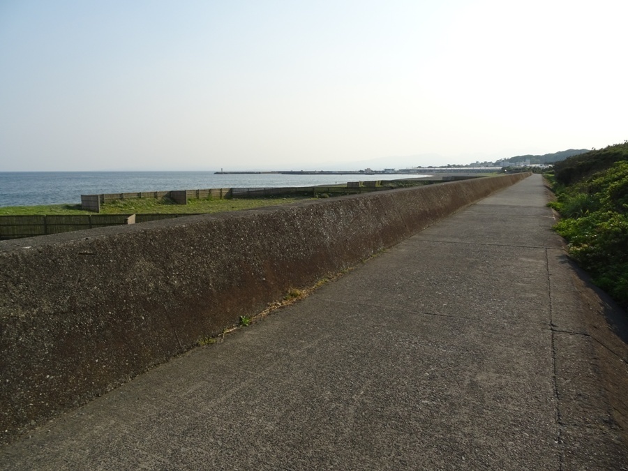 DSC01201.JPG