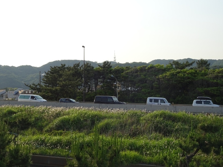 DSC01220.JPG