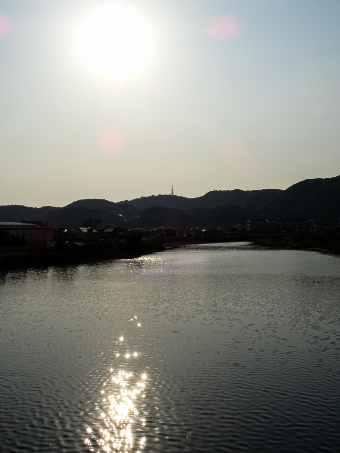 DSC01228.jpg