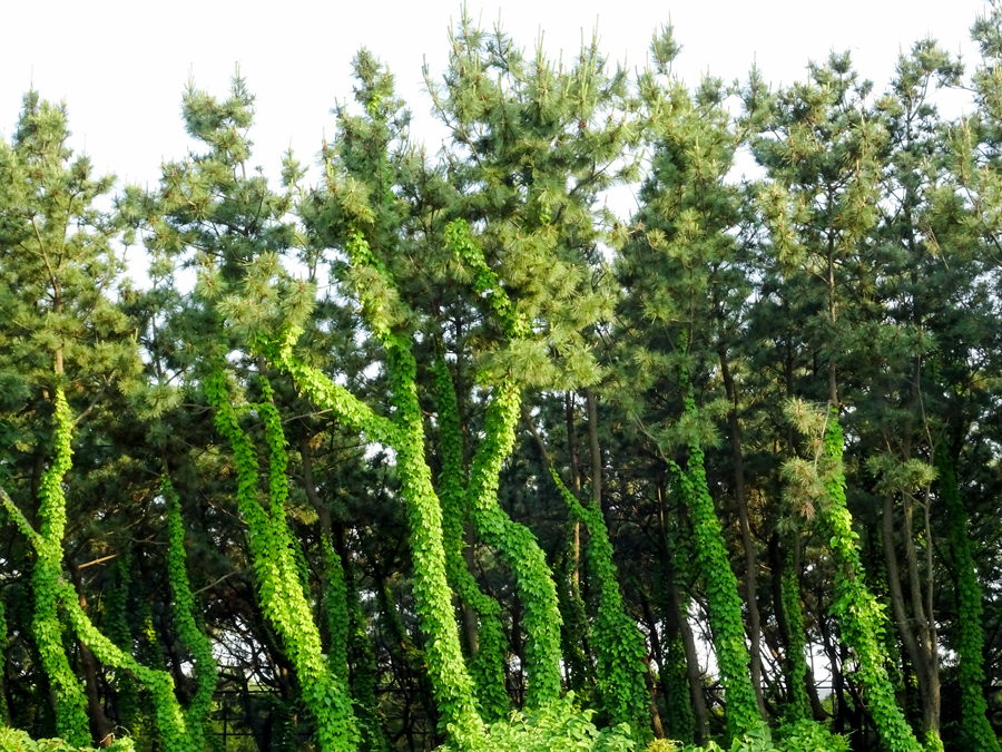 DSC01230.jpg