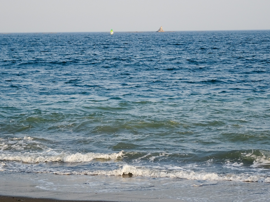 DSC01260.jpg