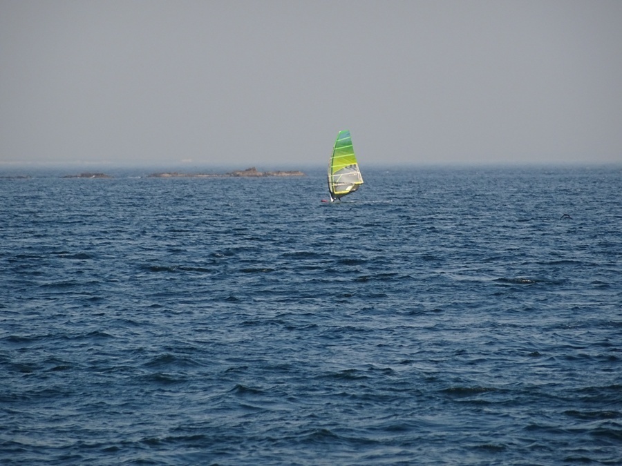 DSC01263.JPG