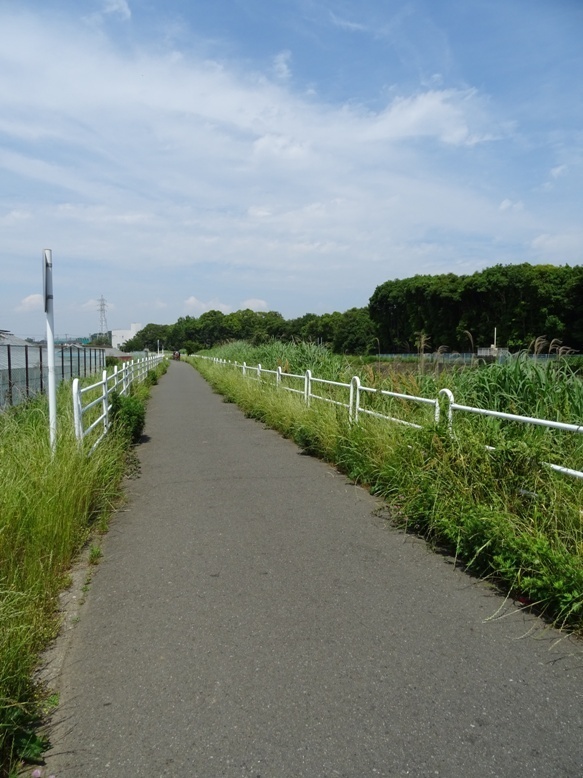 DSC01308.JPG