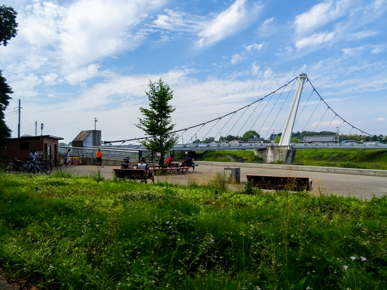 DSC01330.jpg