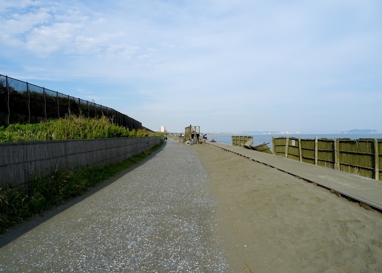 DSC01404.jpg