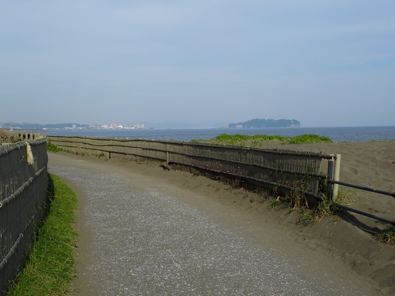 DSC01407.jpg