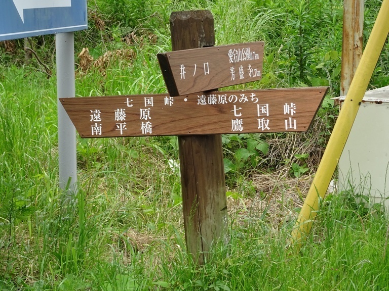 DSC01447.JPG