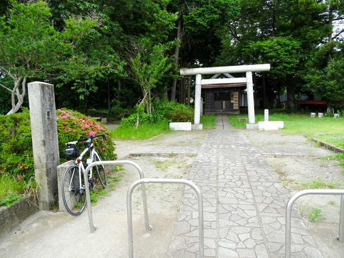 DSC01488.jpg
