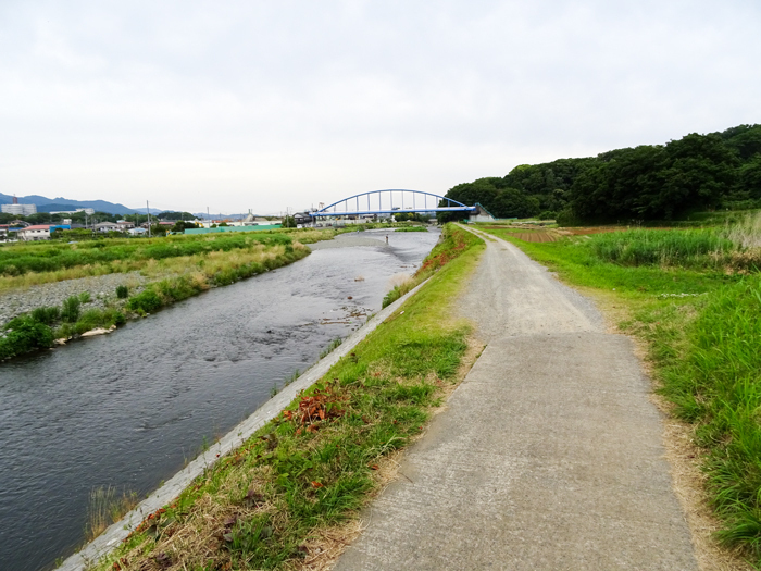 DSC01507.jpg