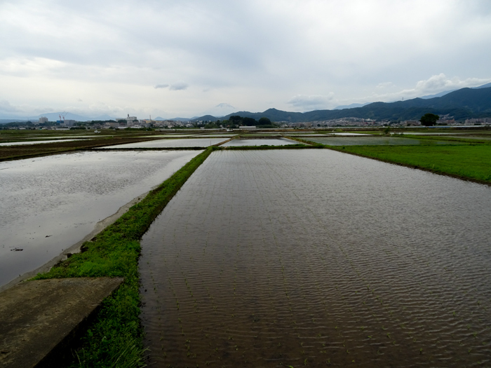 DSC01508.jpg