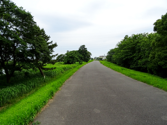 DSC01517.jpg