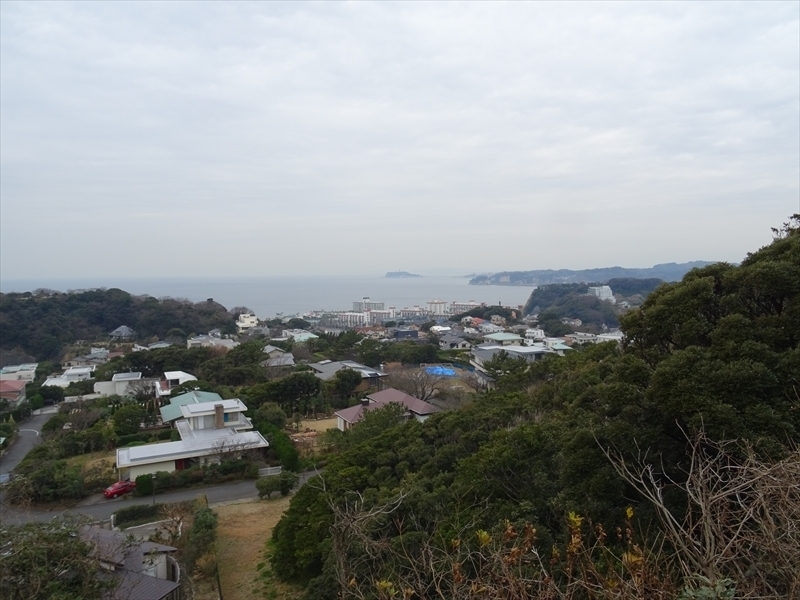 DSC01520_R.JPG