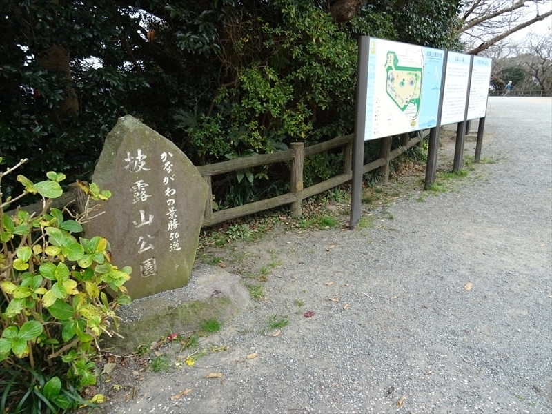 DSC01534_R.JPG