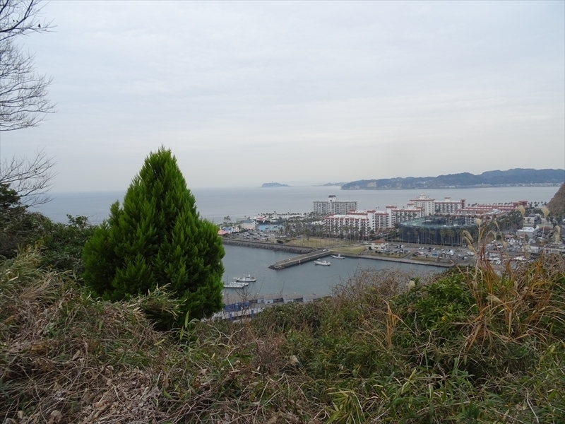 DSC01538_R.JPG