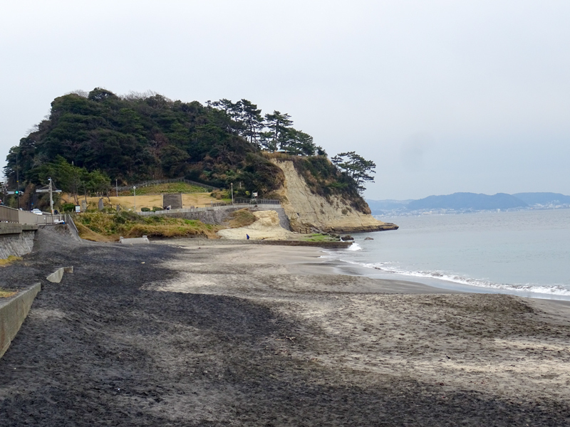 DSC01559.jpg