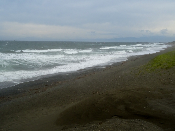 DSC01595.jpg