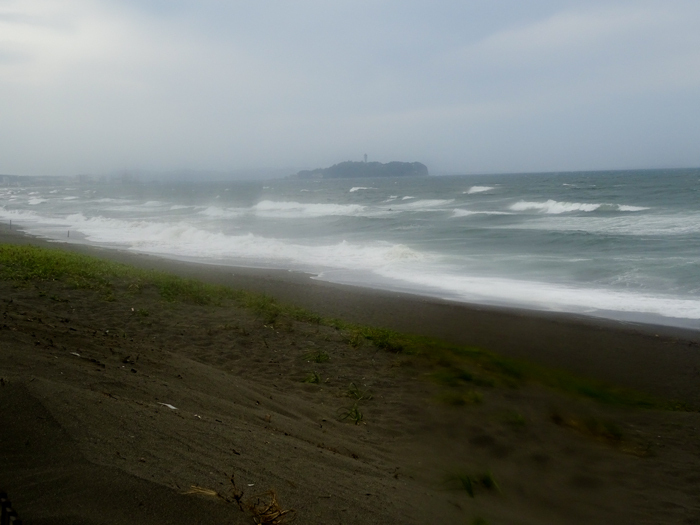 DSC01616.jpg