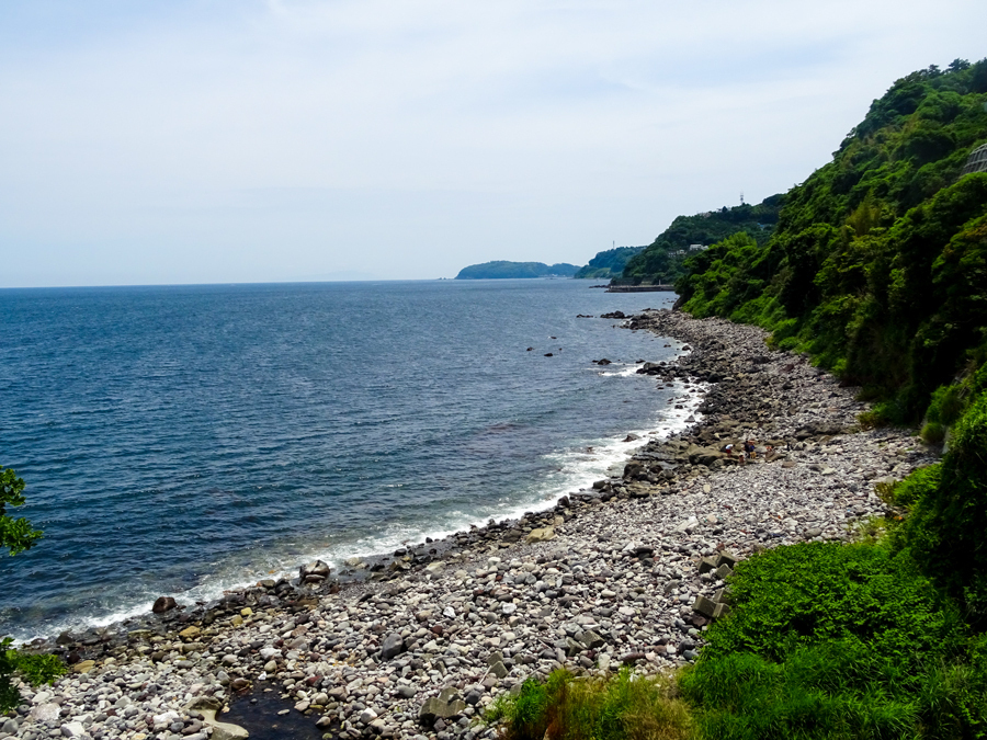 DSC01650.jpg