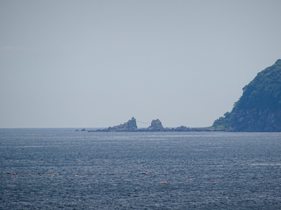 DSC01654.jpg
