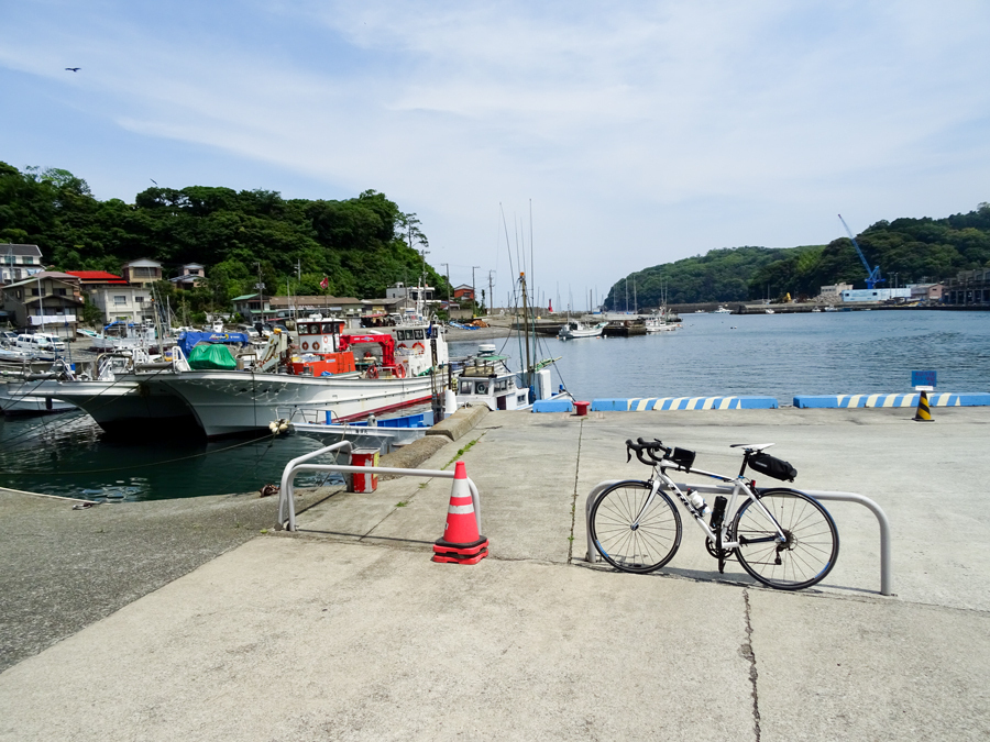 DSC01672.jpg