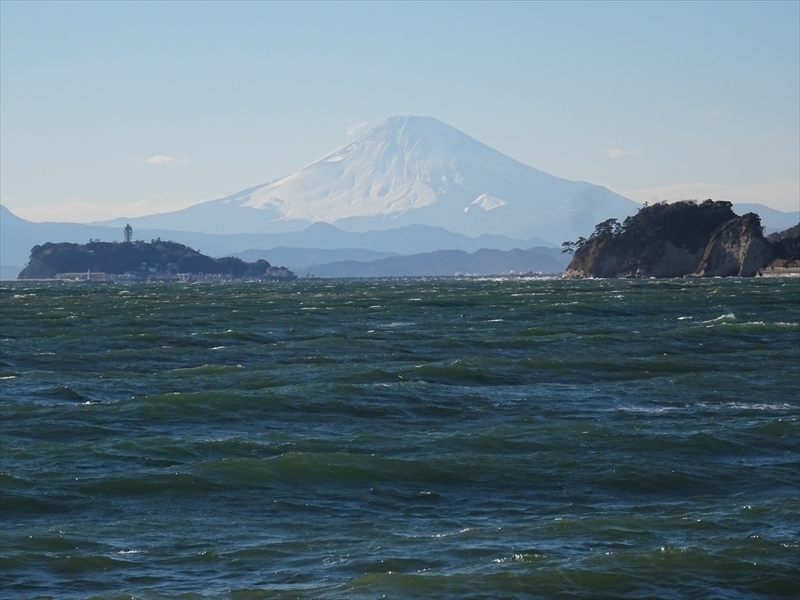 DSC01684_R.JPG