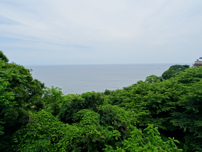 DSC01739.jpg