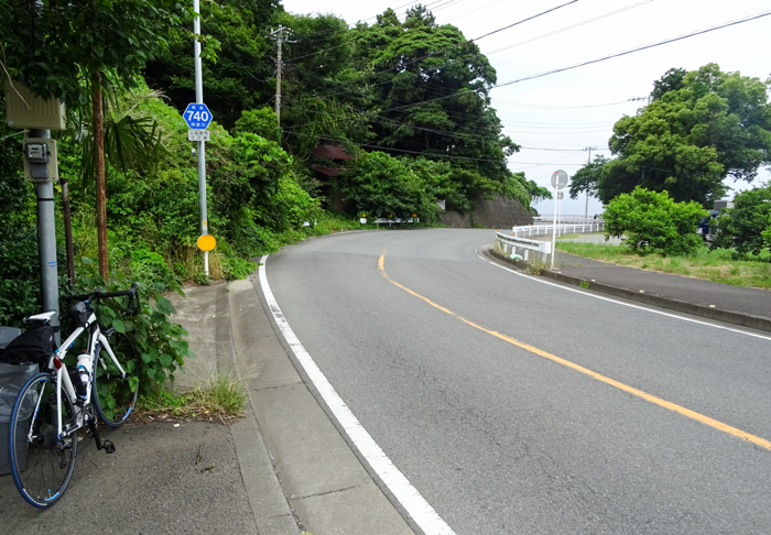 DSC01746.jpg