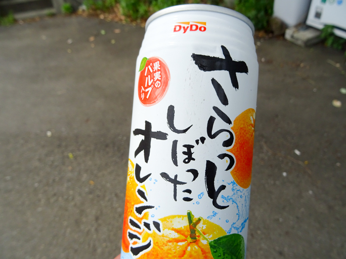 DSC01750.jpg