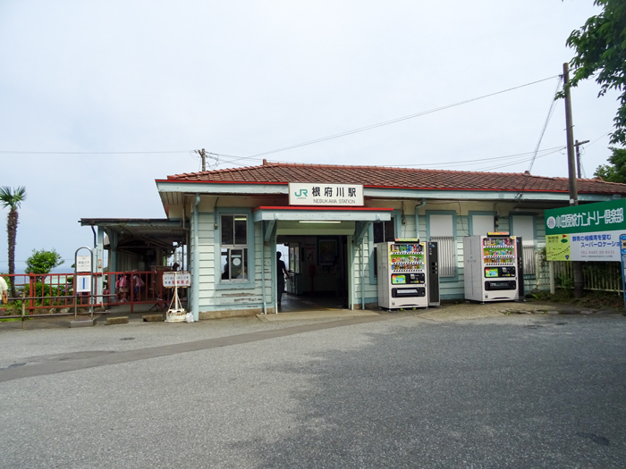DSC01751.jpg