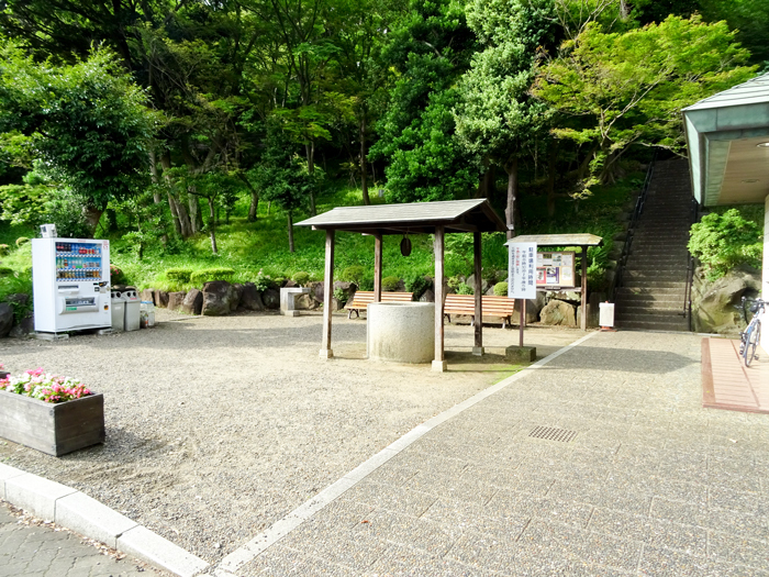 DSC01778.jpg