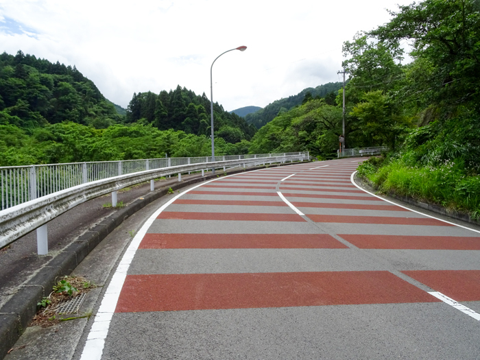 DSC01940.jpg