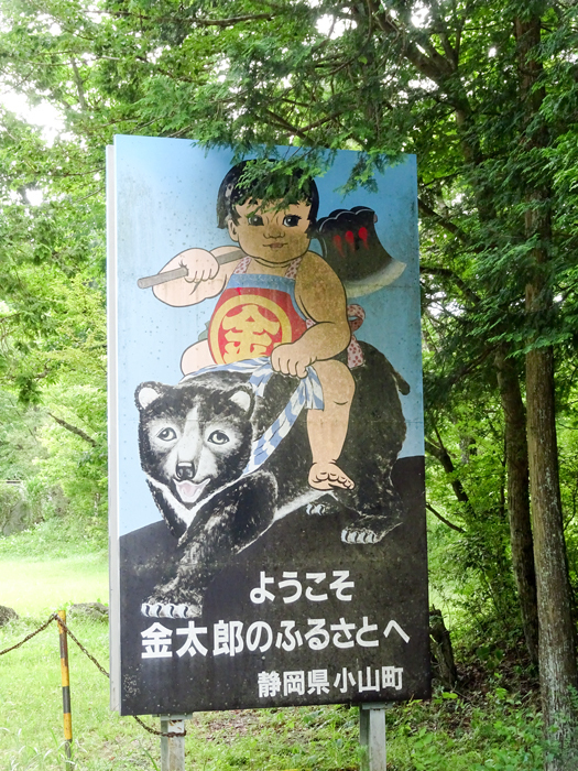 DSC01979.jpg