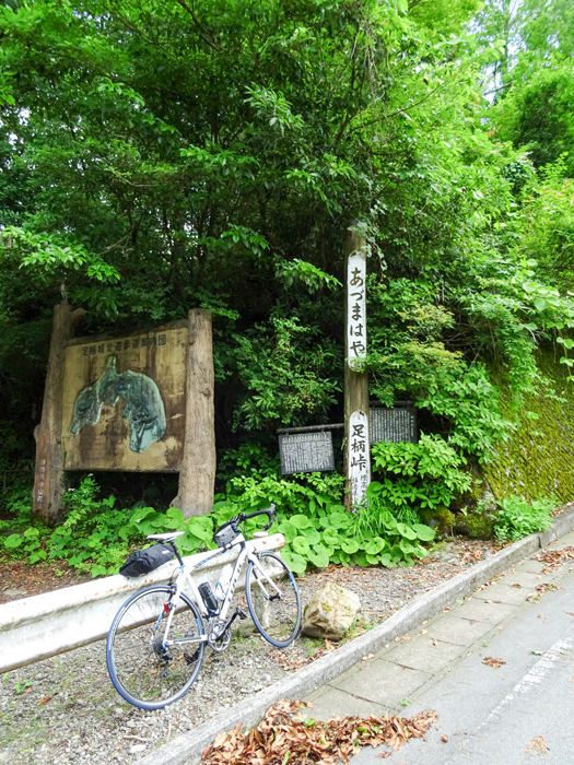 DSC01982.jpg