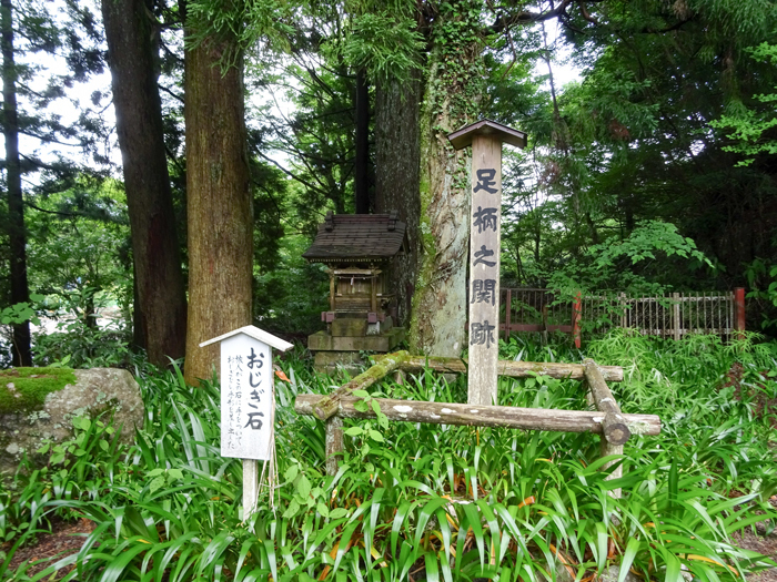 DSC01985.jpg