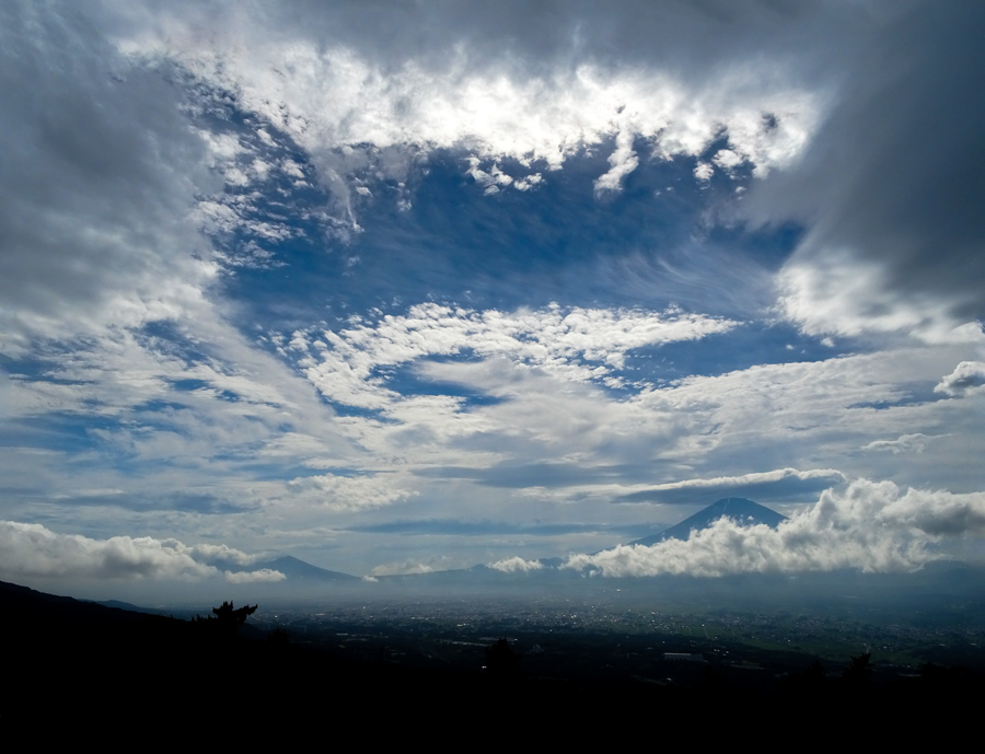 DSC02078.jpg