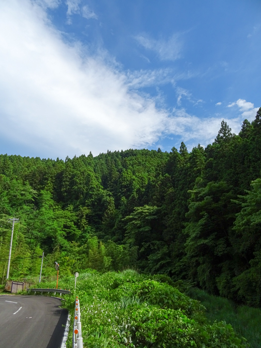 DSC02095.jpg