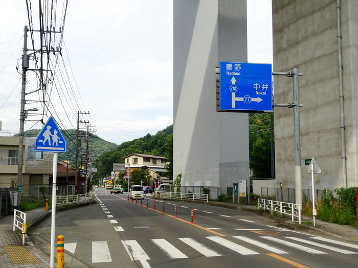 DSC02116.jpg