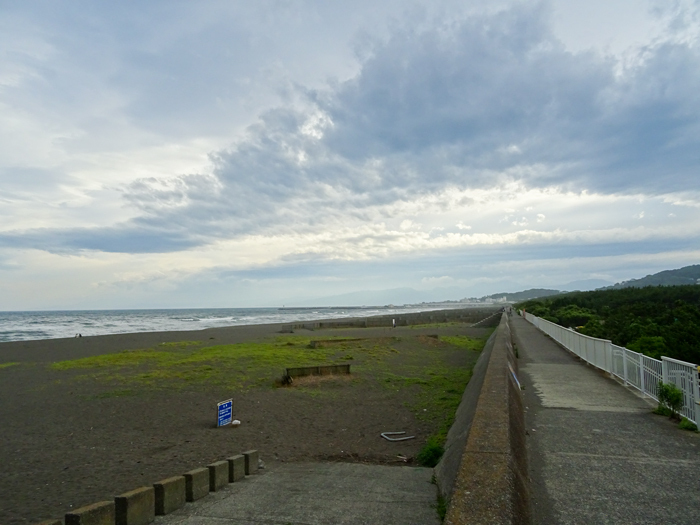 DSC02131.jpg