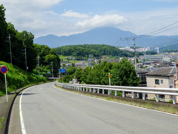 DSC02172.jpg