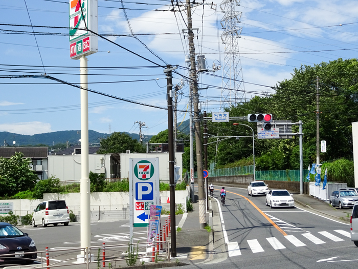 DSC02178.jpg