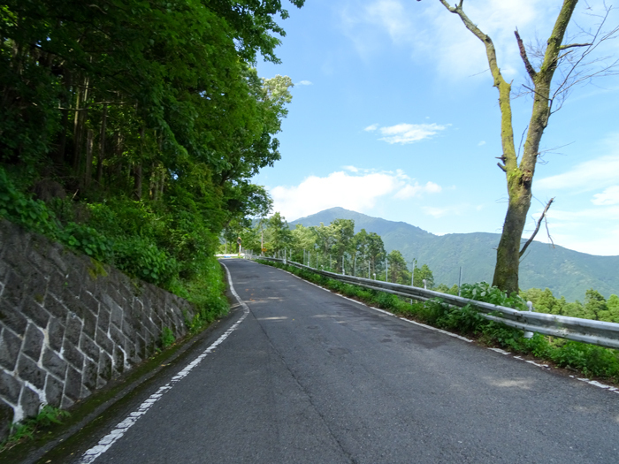 DSC02193.jpg