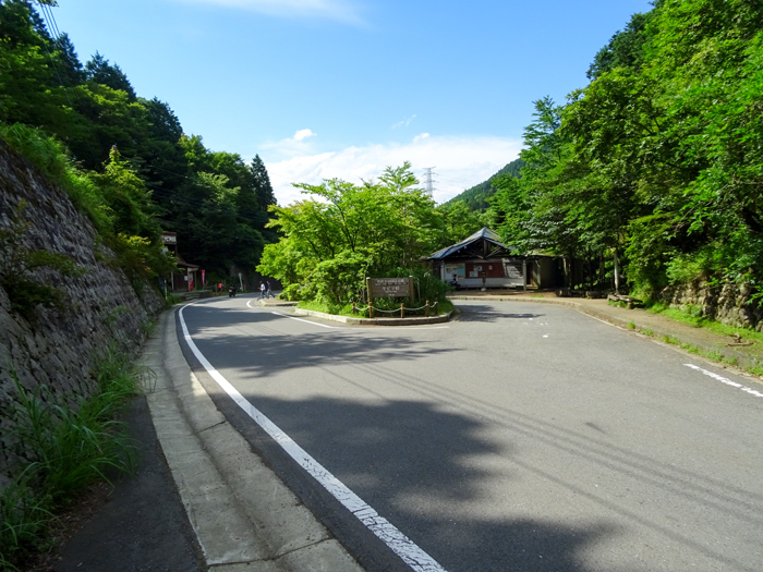 DSC02204.jpg