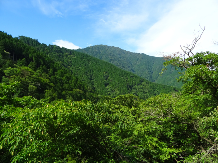 DSC02215.jpg