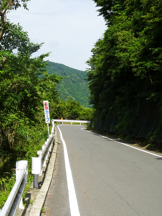 DSC02217.jpg