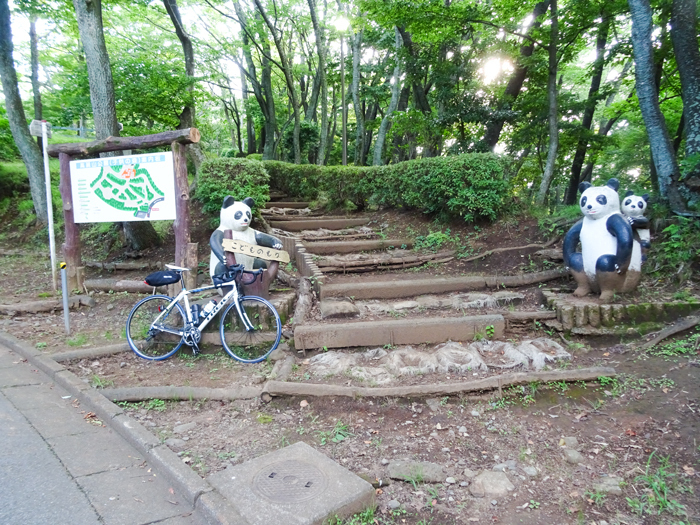 DSC02310.jpg