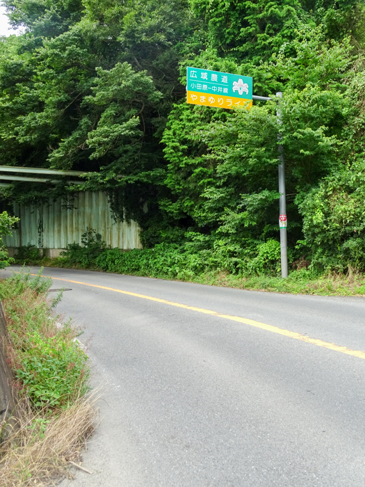 DSC02376.jpg